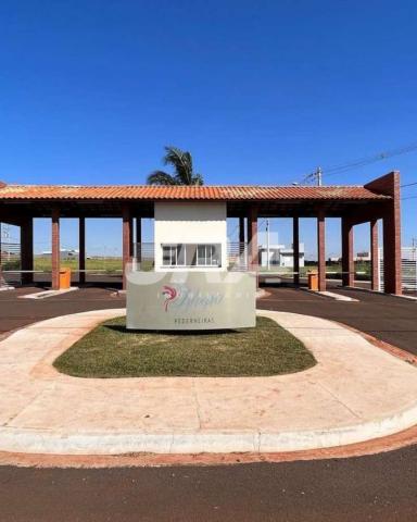 Terreno Venda Condomínio Alegro em Pederneiras